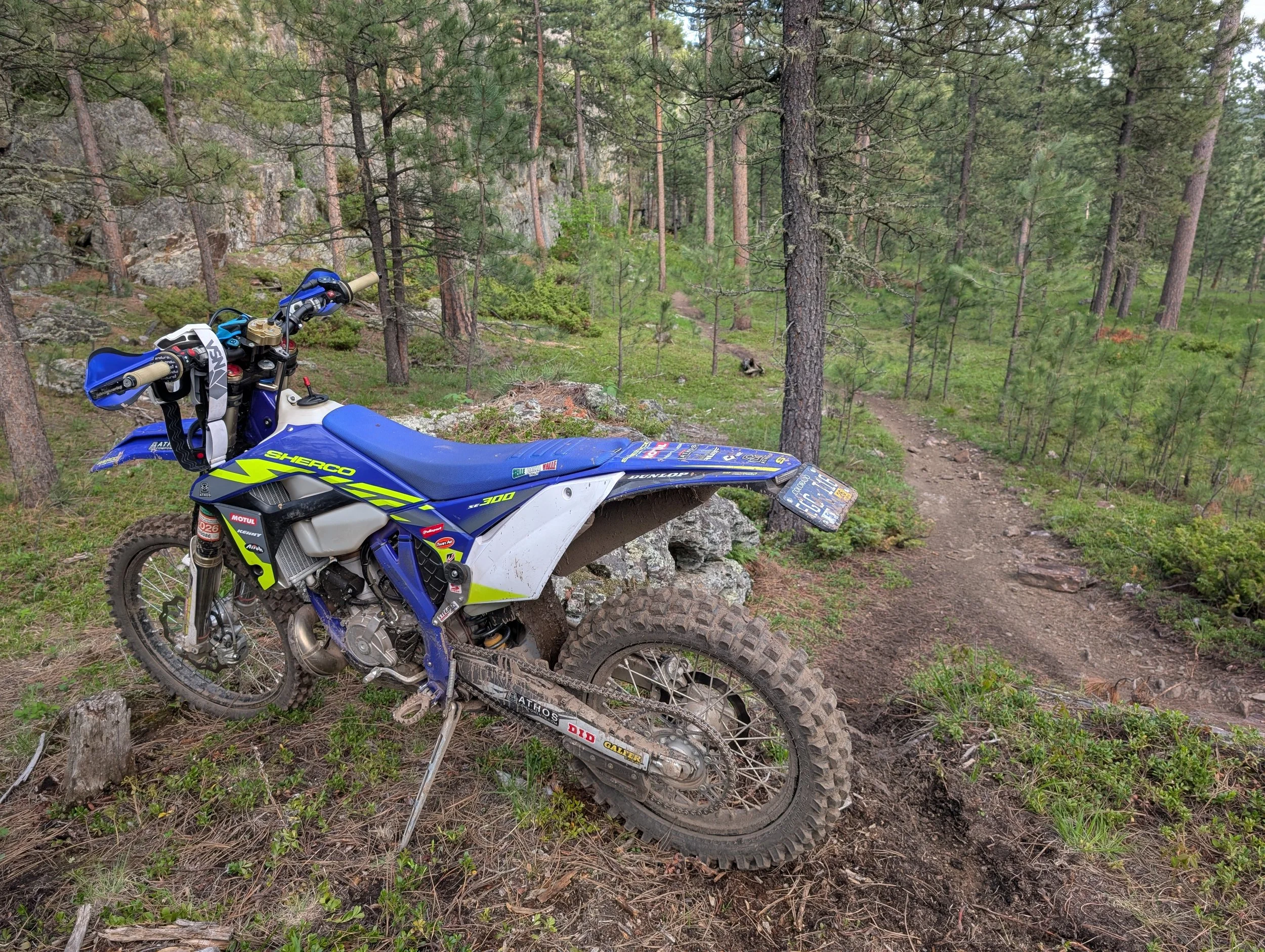 PXL_20250607_230640557.jpg