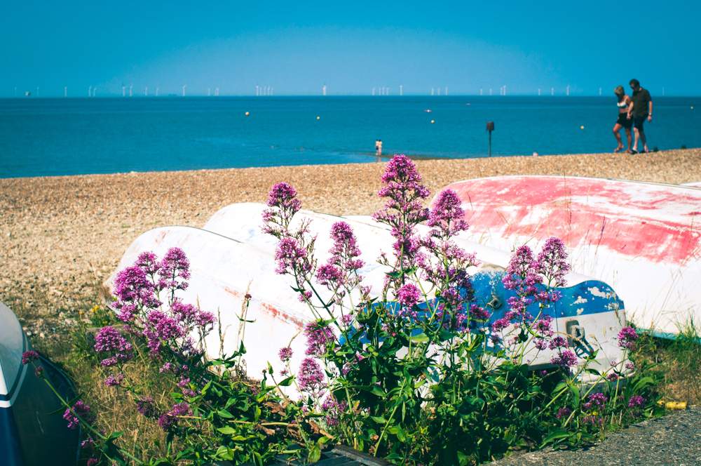 DSC_0363-whistable_June2018-edited-edited.jpg