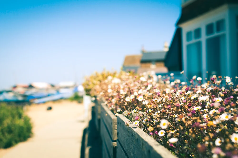 Whitstable is one of the most picturesque seaside towns in England.