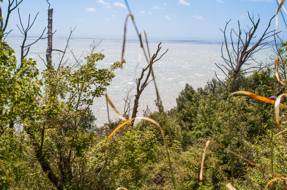 DSC_0300-islewofwight-july18-edited-2.jpg