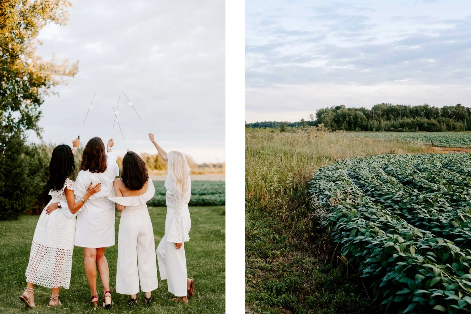 lemon_themed_farm_wedding_15.jpg