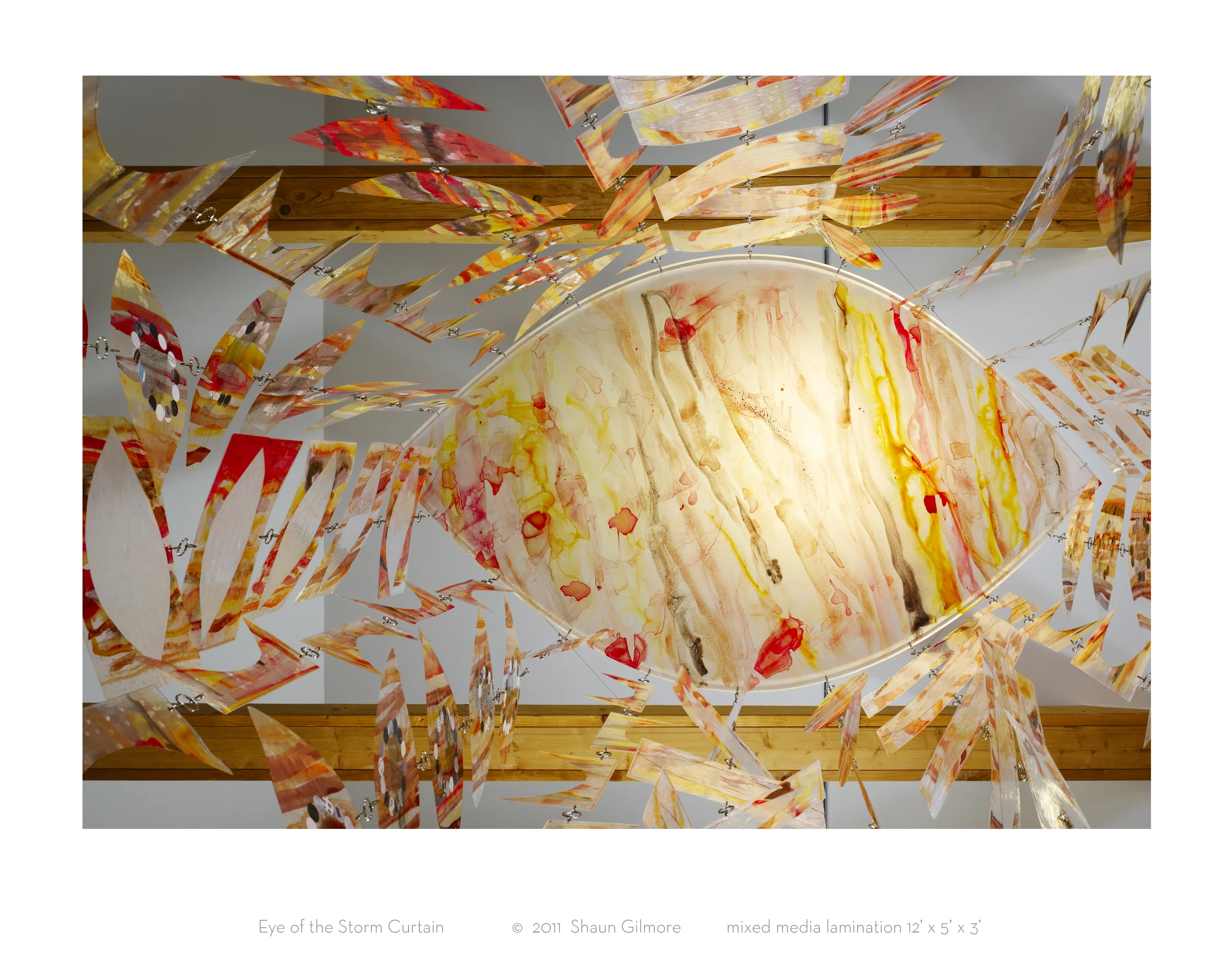 Eye of the Storm Curtain, 2011 (detail)