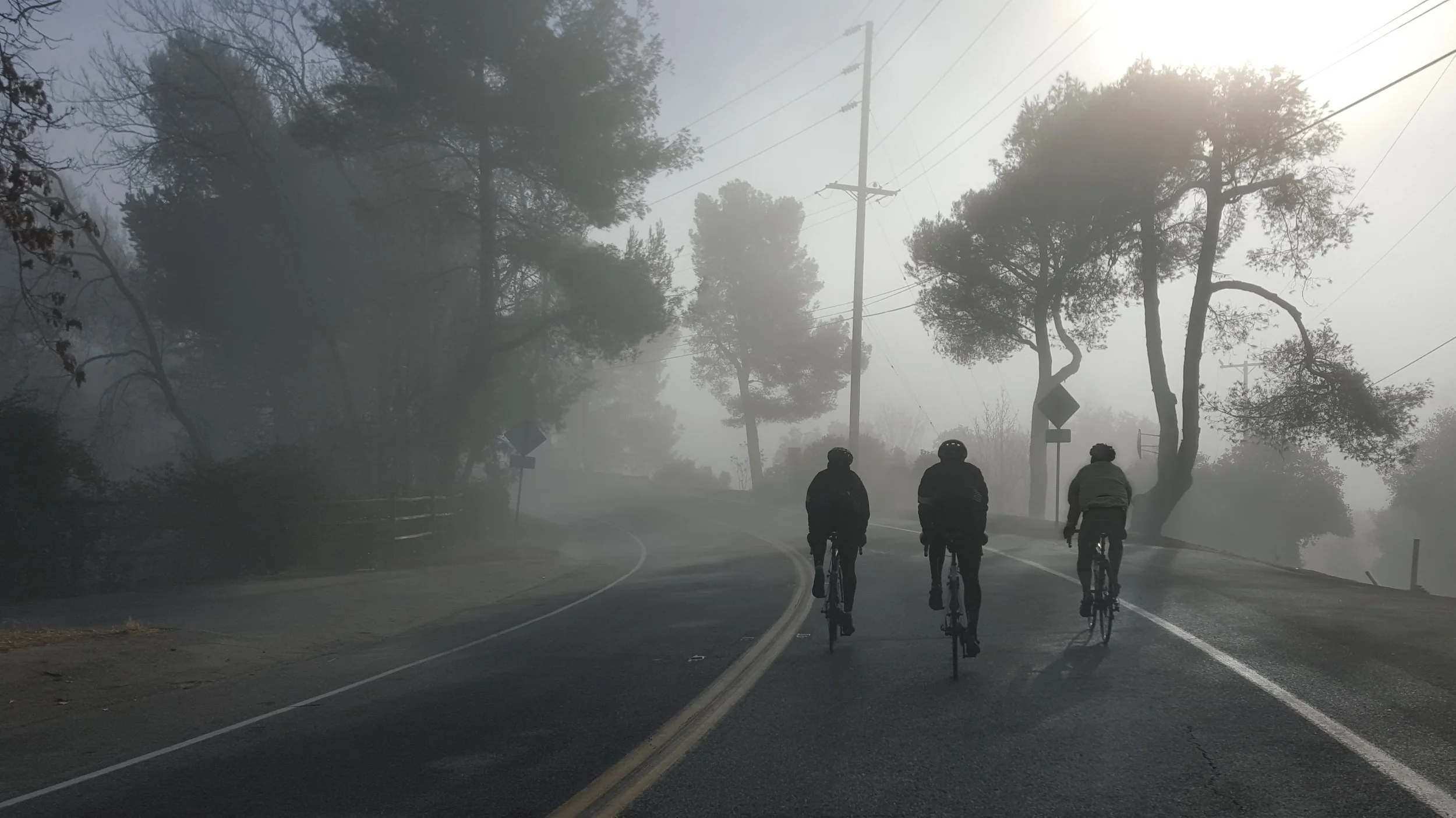 Fireflies on Mulholland.jpg