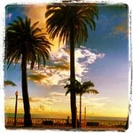 Group Readings and Party Bookings Available Upon Request