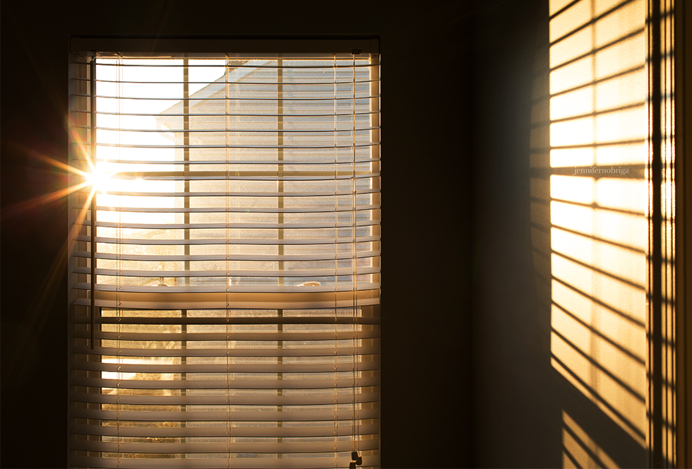 windowlight_by_jennifer_nobriga.jpg