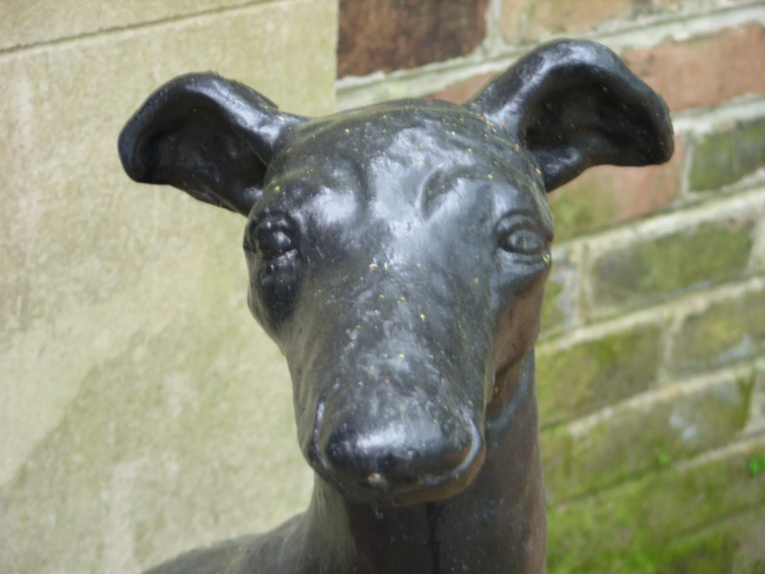  An iron whippet on Jones Street. 