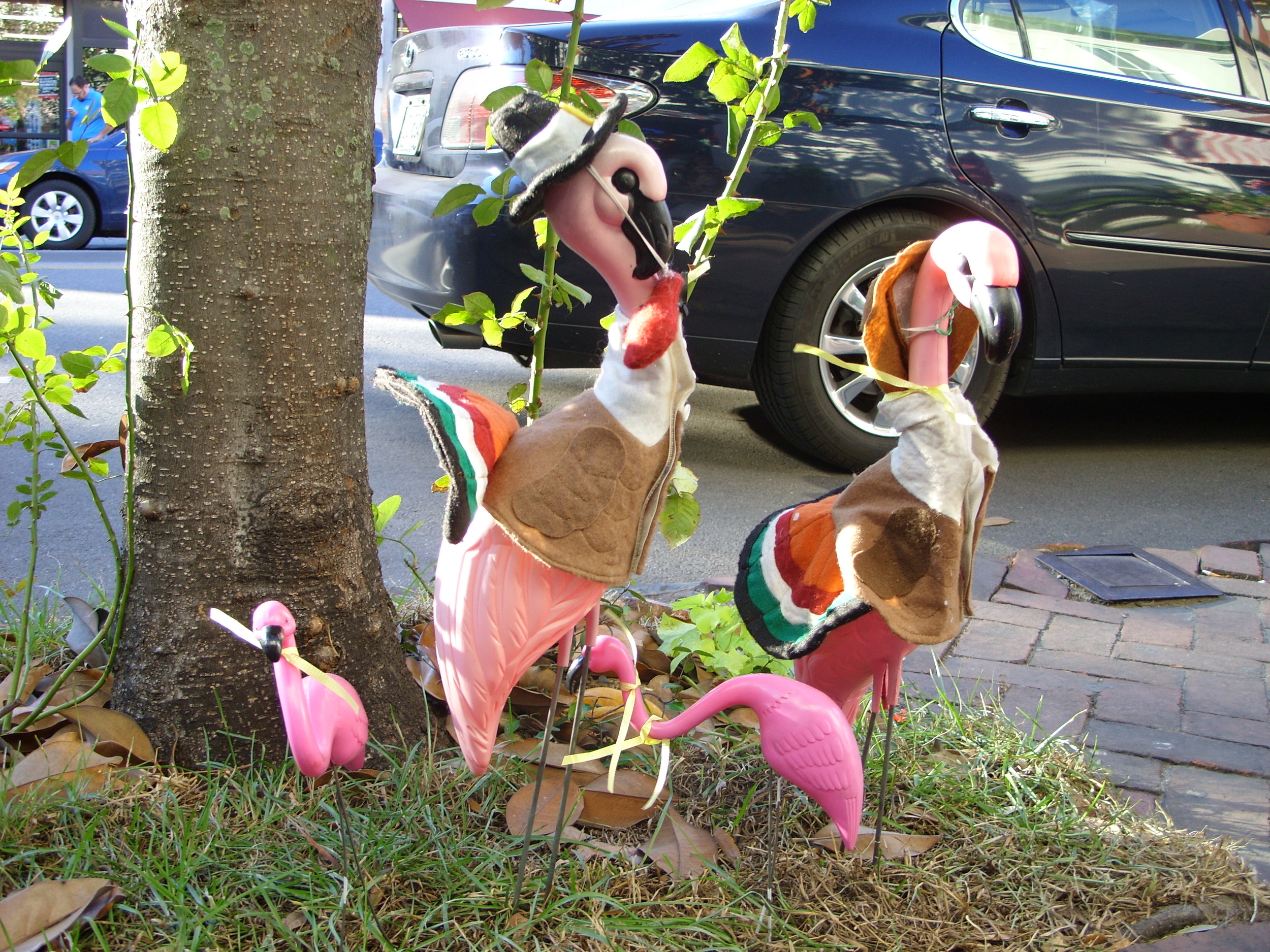  Pink flamingos in Thanksgiving costumes outside the Soda Pop Shoppe. 