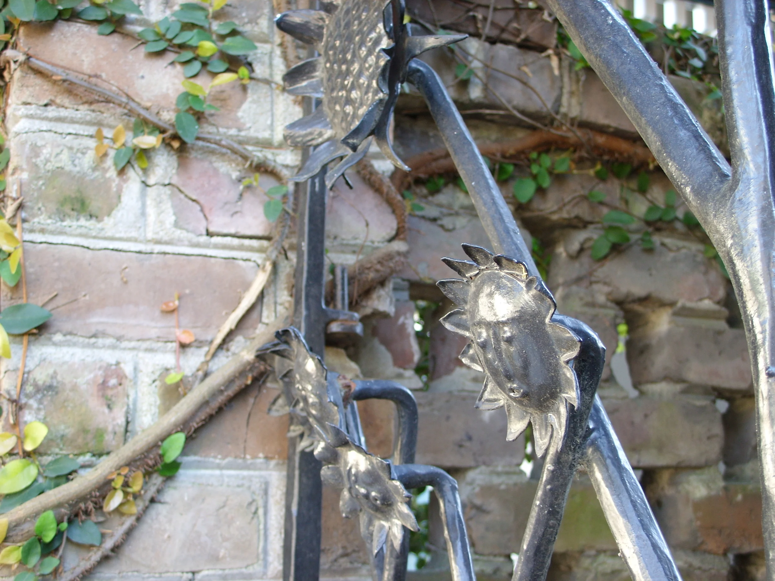  Cheery sunflowers on an iron gate on Perry Street. 