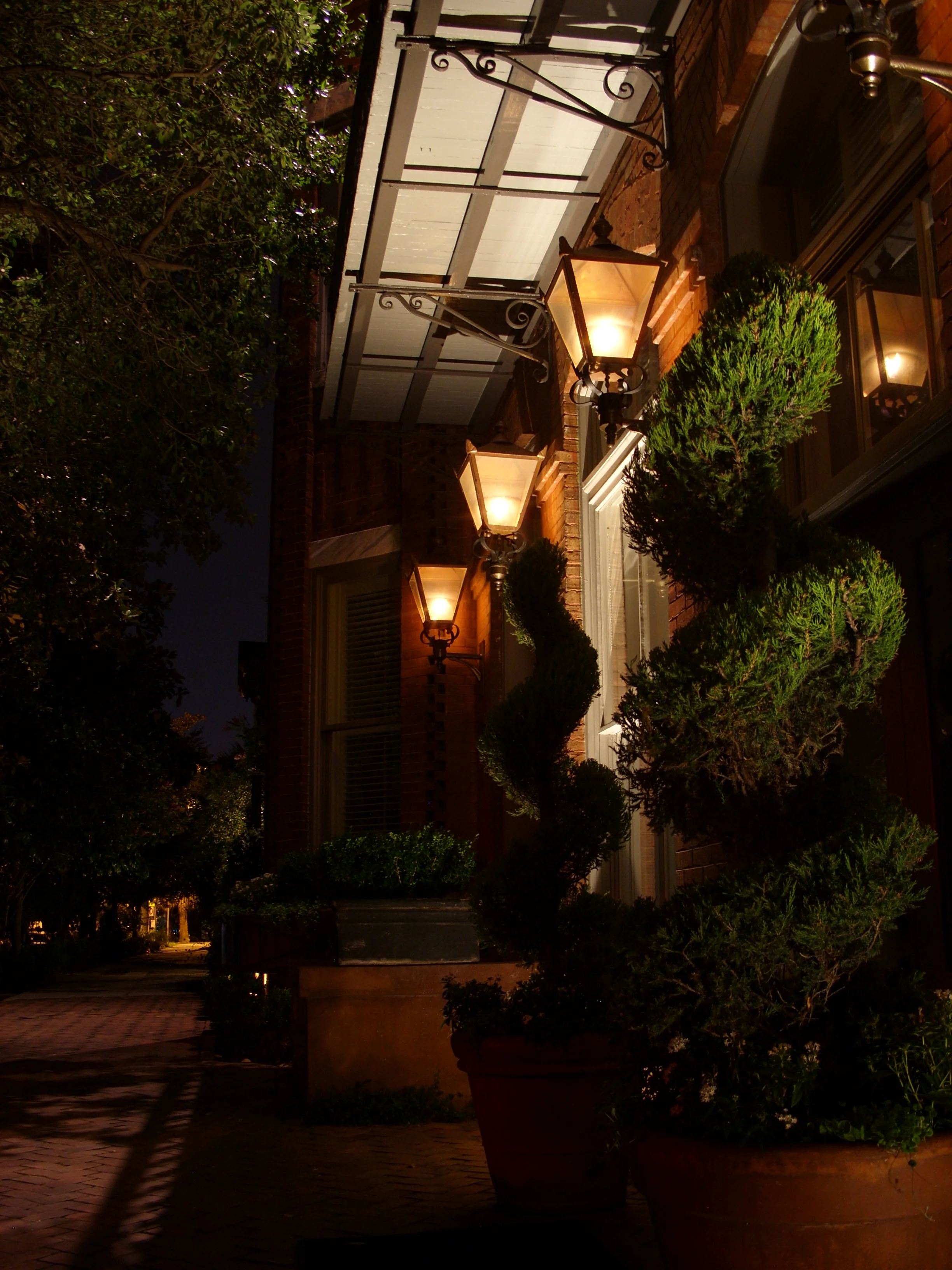  Topiary outside of a SCAD gallery at night. 
