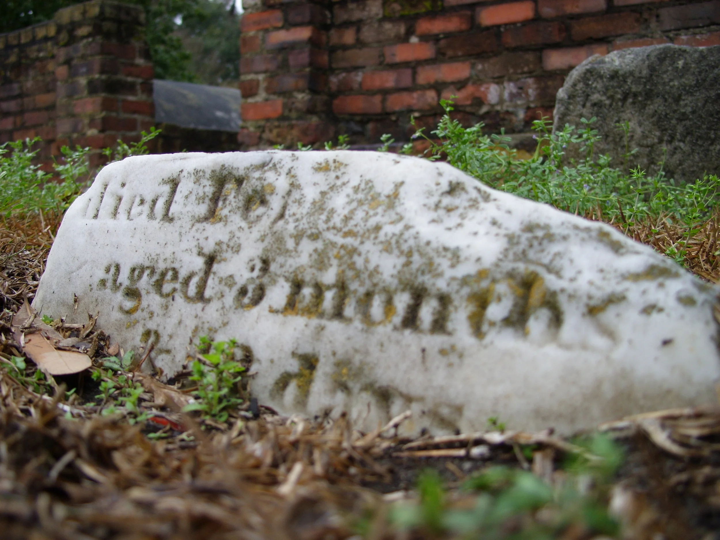  A broken tombstone in Colonial Park Cemetery. 