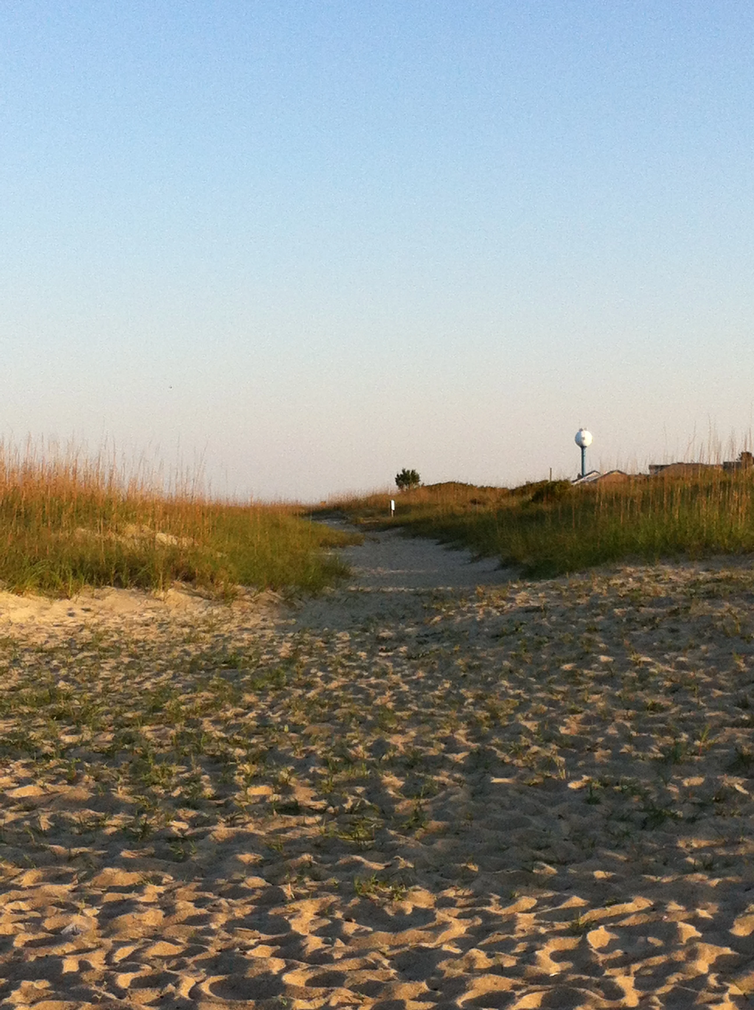  A sandy path through the dunes on Tybee Island. 