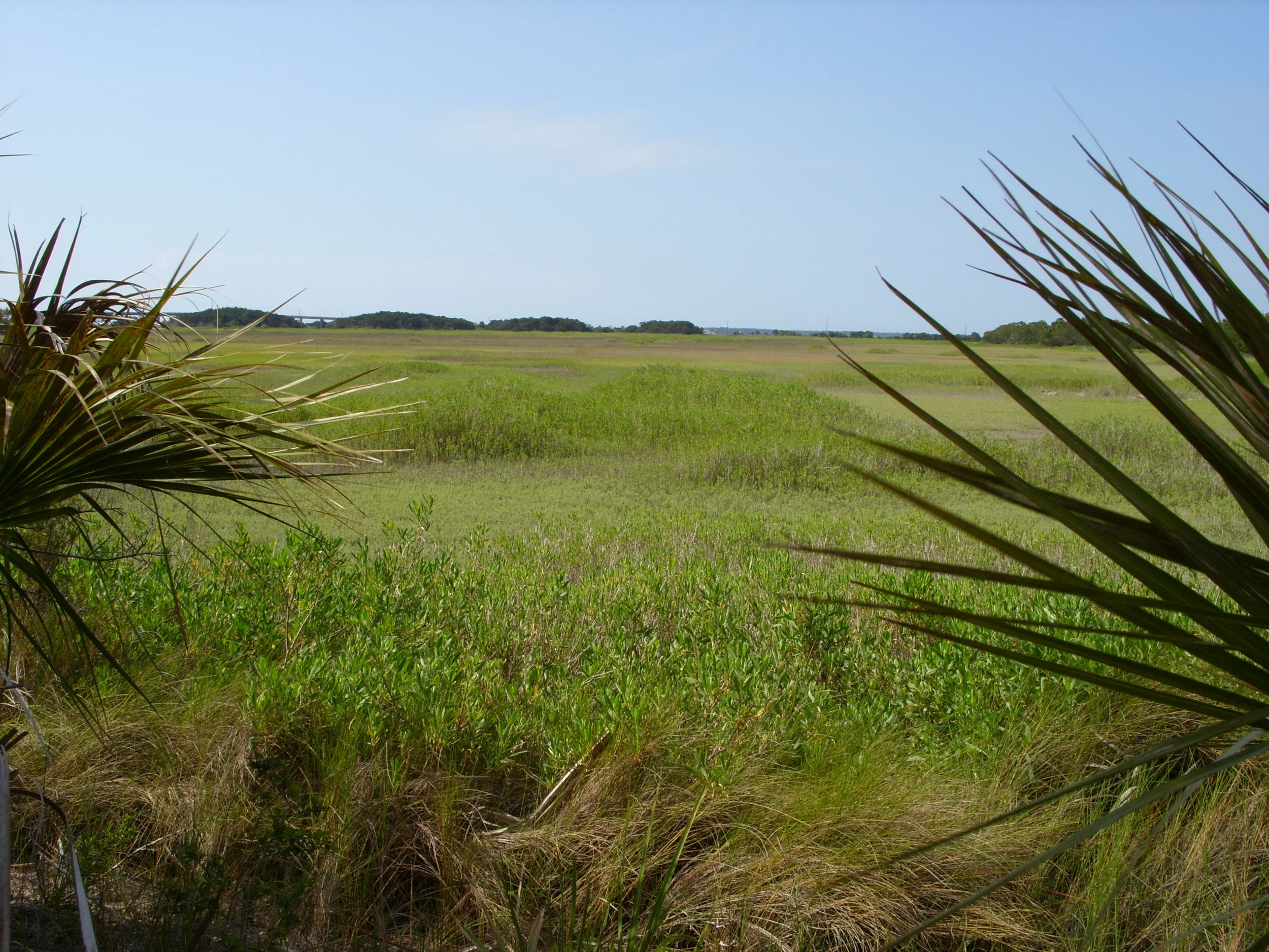  A view across the marsh on Cockspur Island 