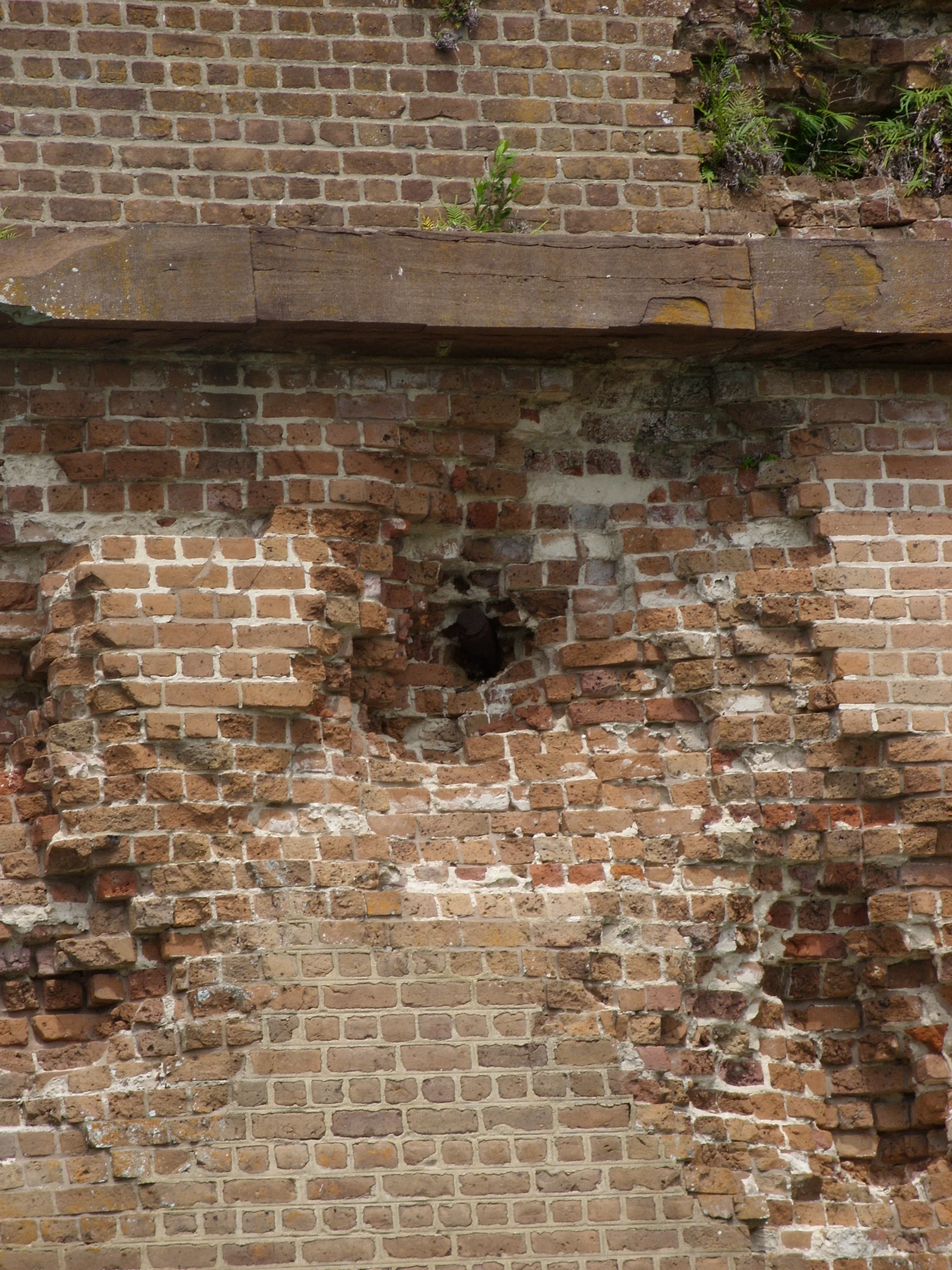  A Civil War shell still buried within the masonry of Fort Pulaski 