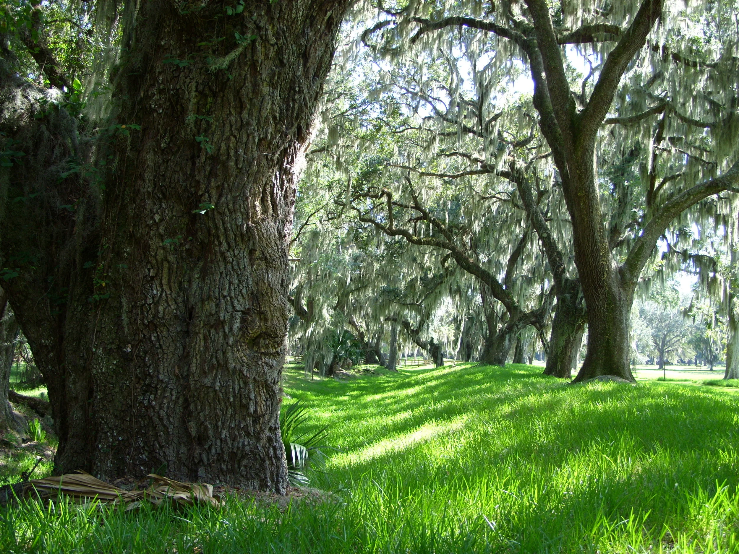  At Fort Frederica on St. Simon's Island in Brunswick 