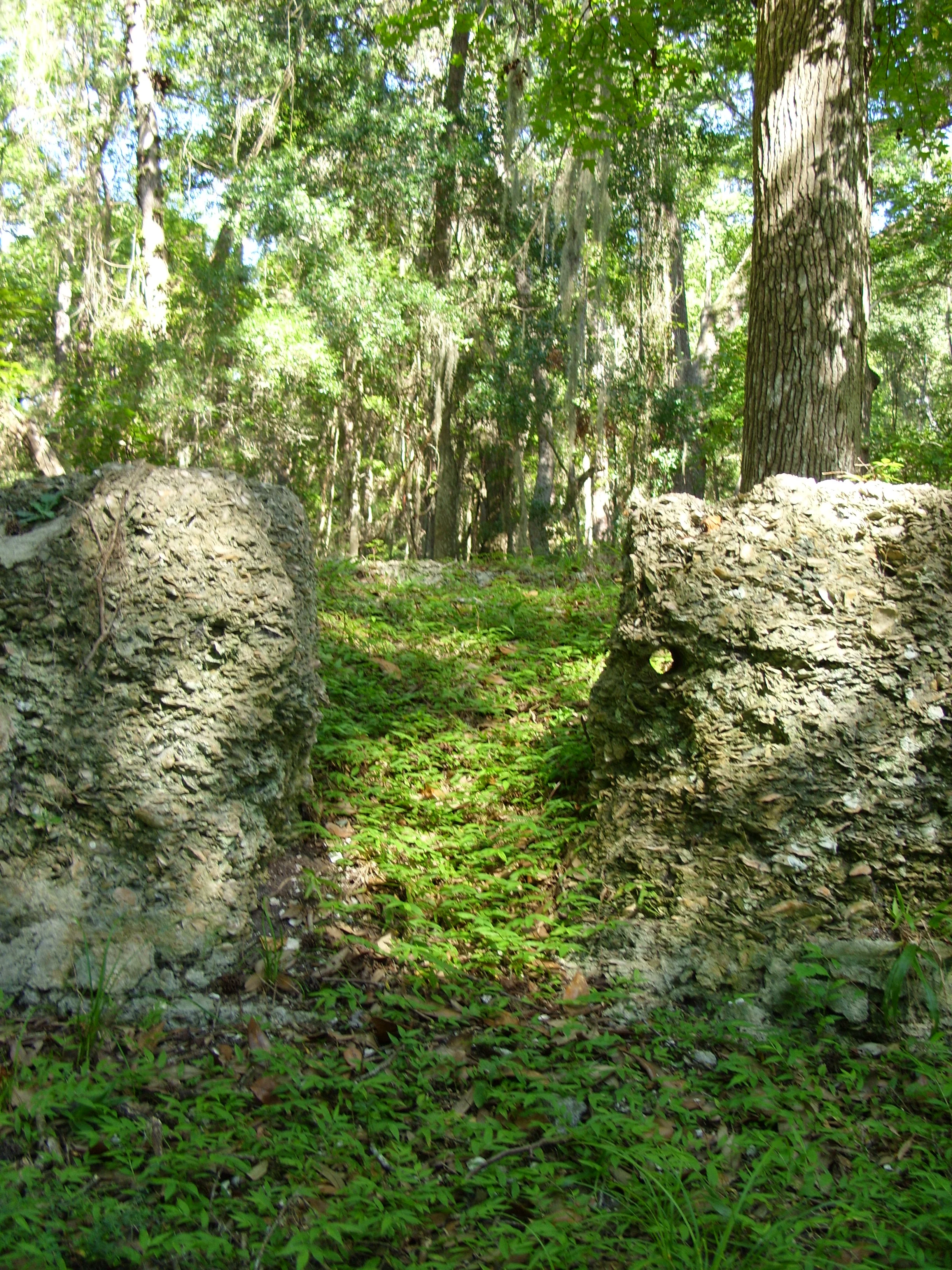  Ruins at Fort Frederica 
