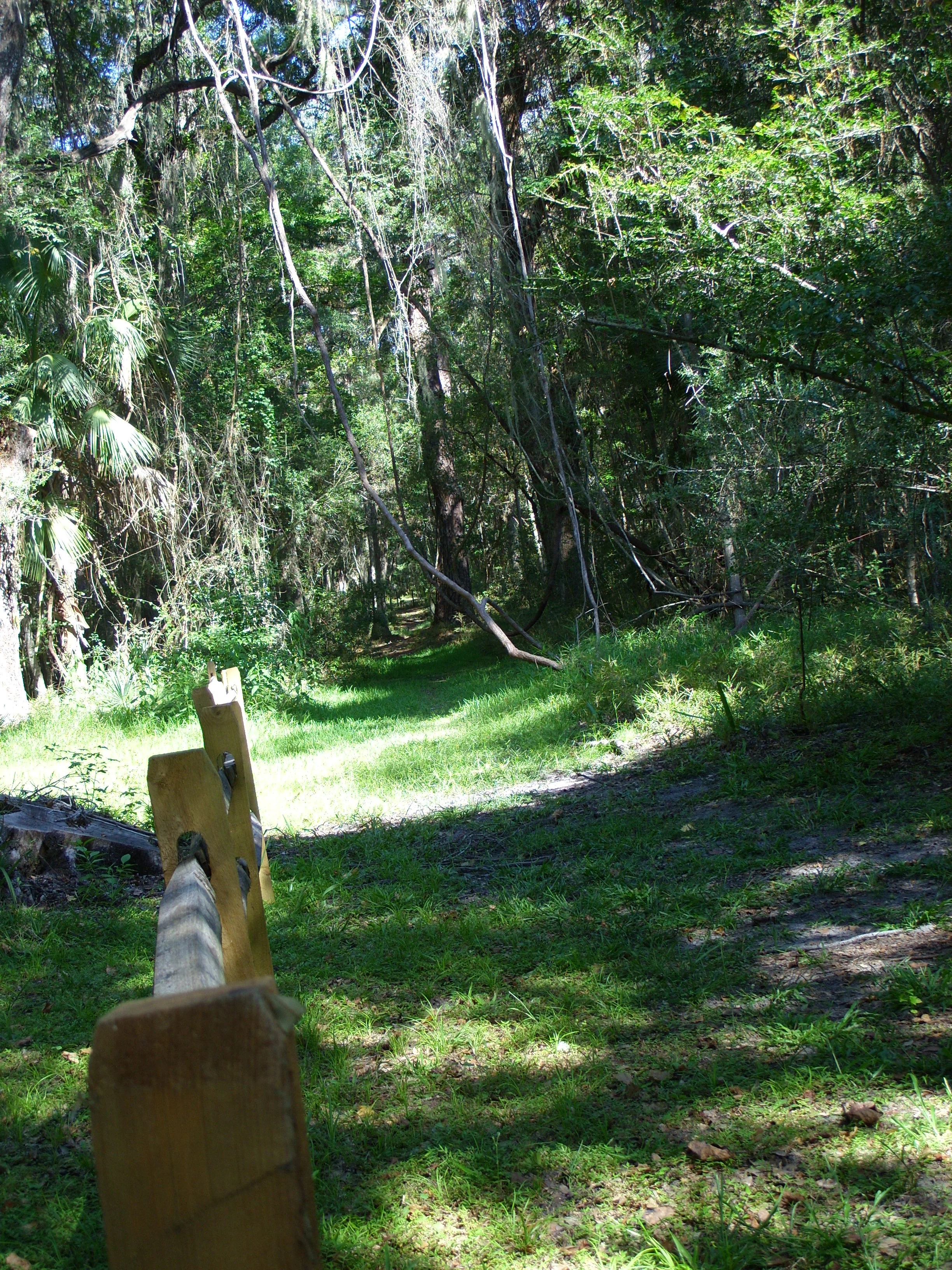  Beginning of the hiking trail that leads to the site of the Battle of Bloody Marsh on St. Simon's Island, GA 