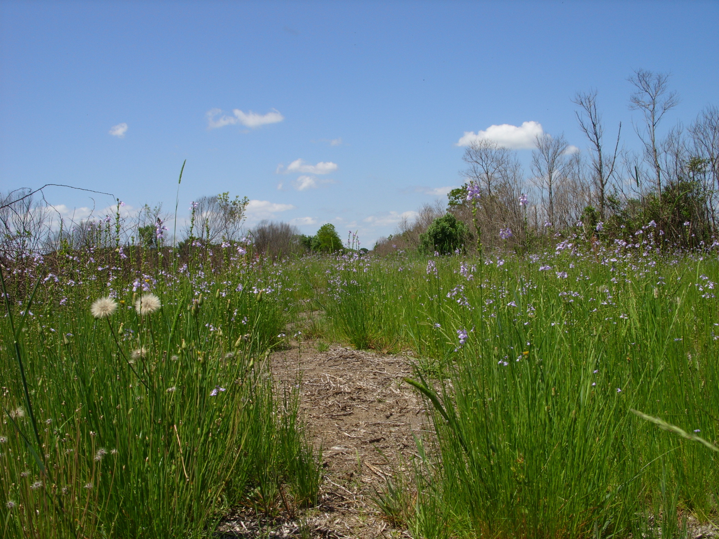  Walking through the Savannah National Wildlife Refuge 