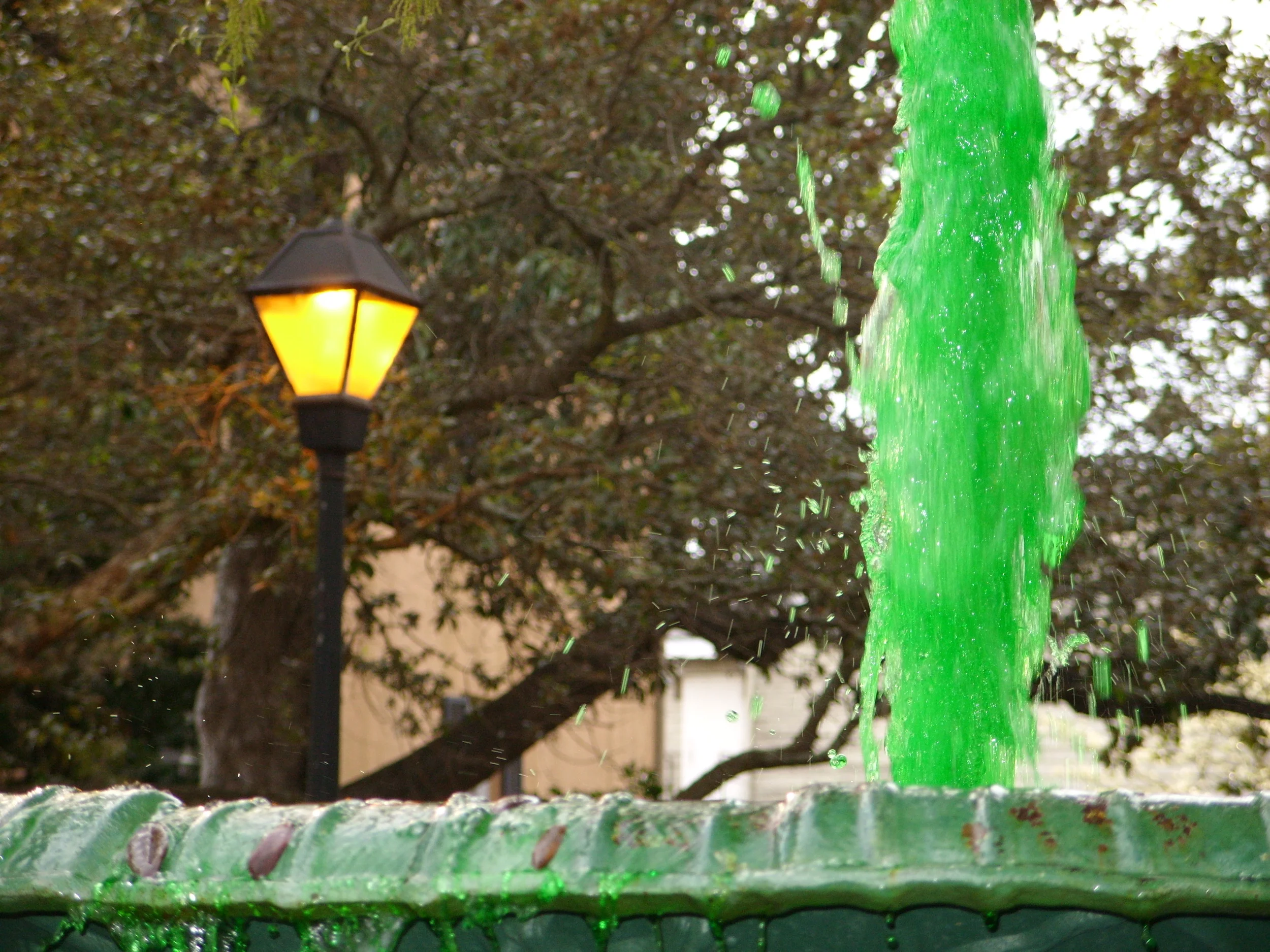  Green water in the fountain in Columbia Square 