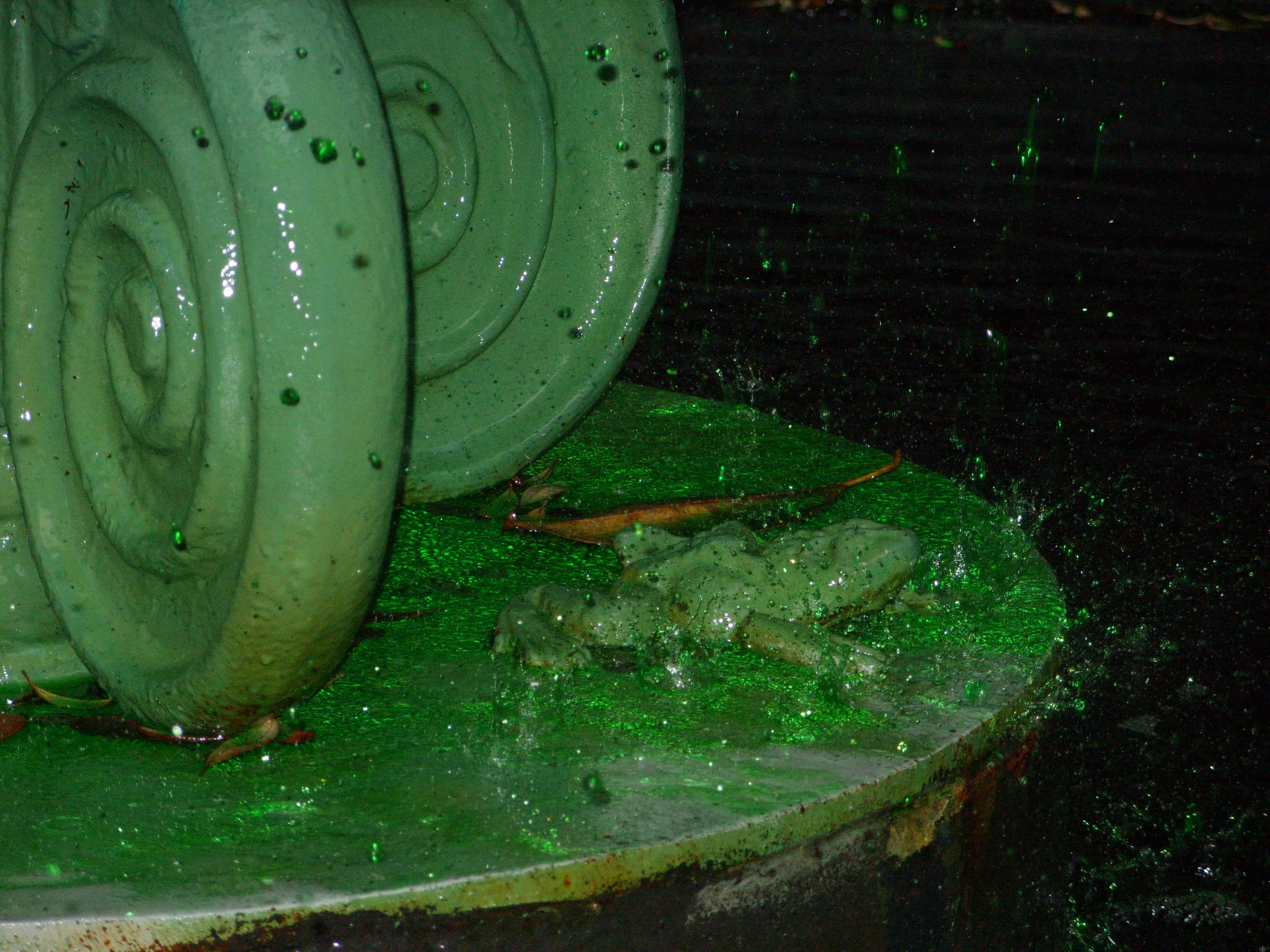  A close-up of one of the little iron frogs at the base of the Lafayette Square fountain 