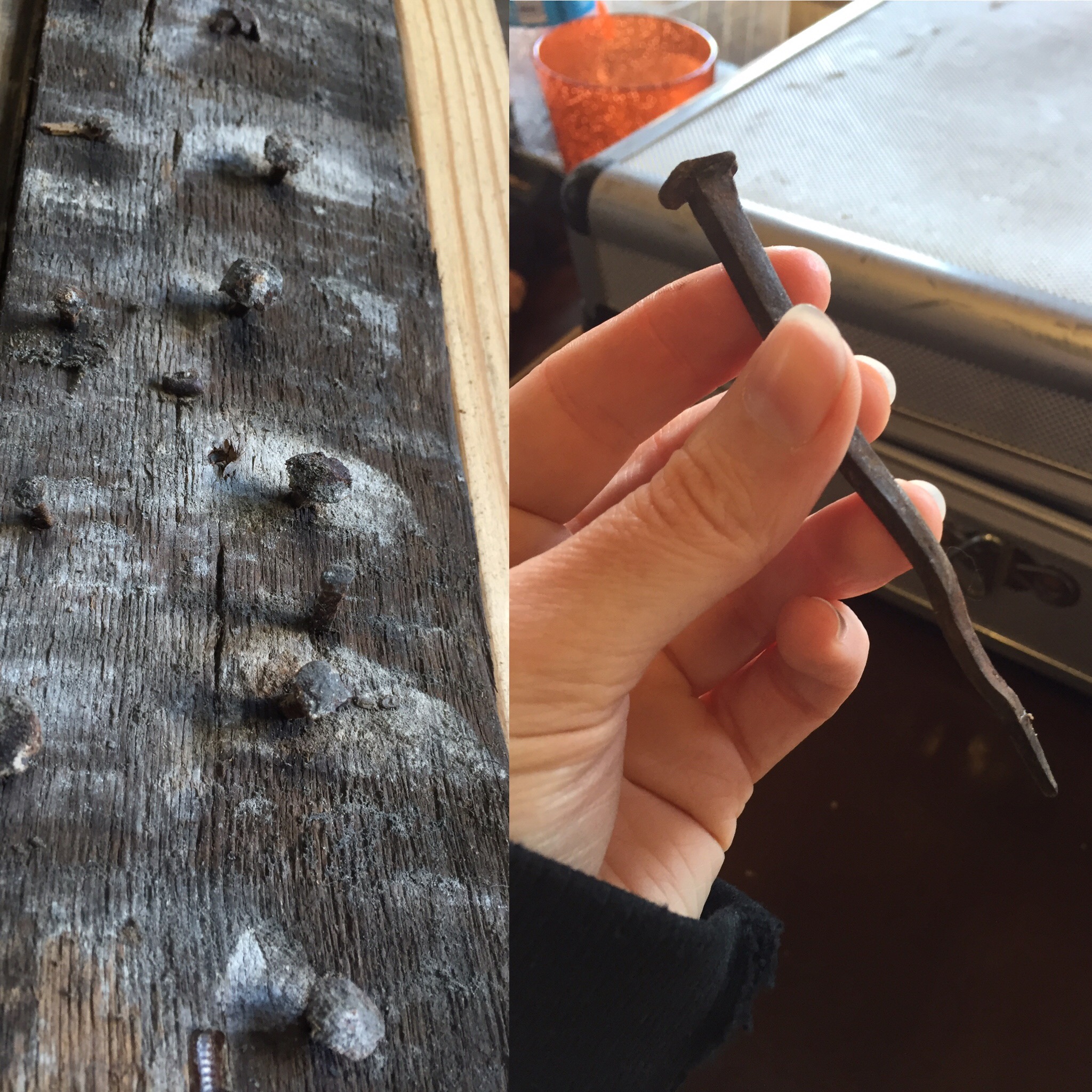 Left: hand-cast iron nails in old wood. Right: Me holding an original nail.