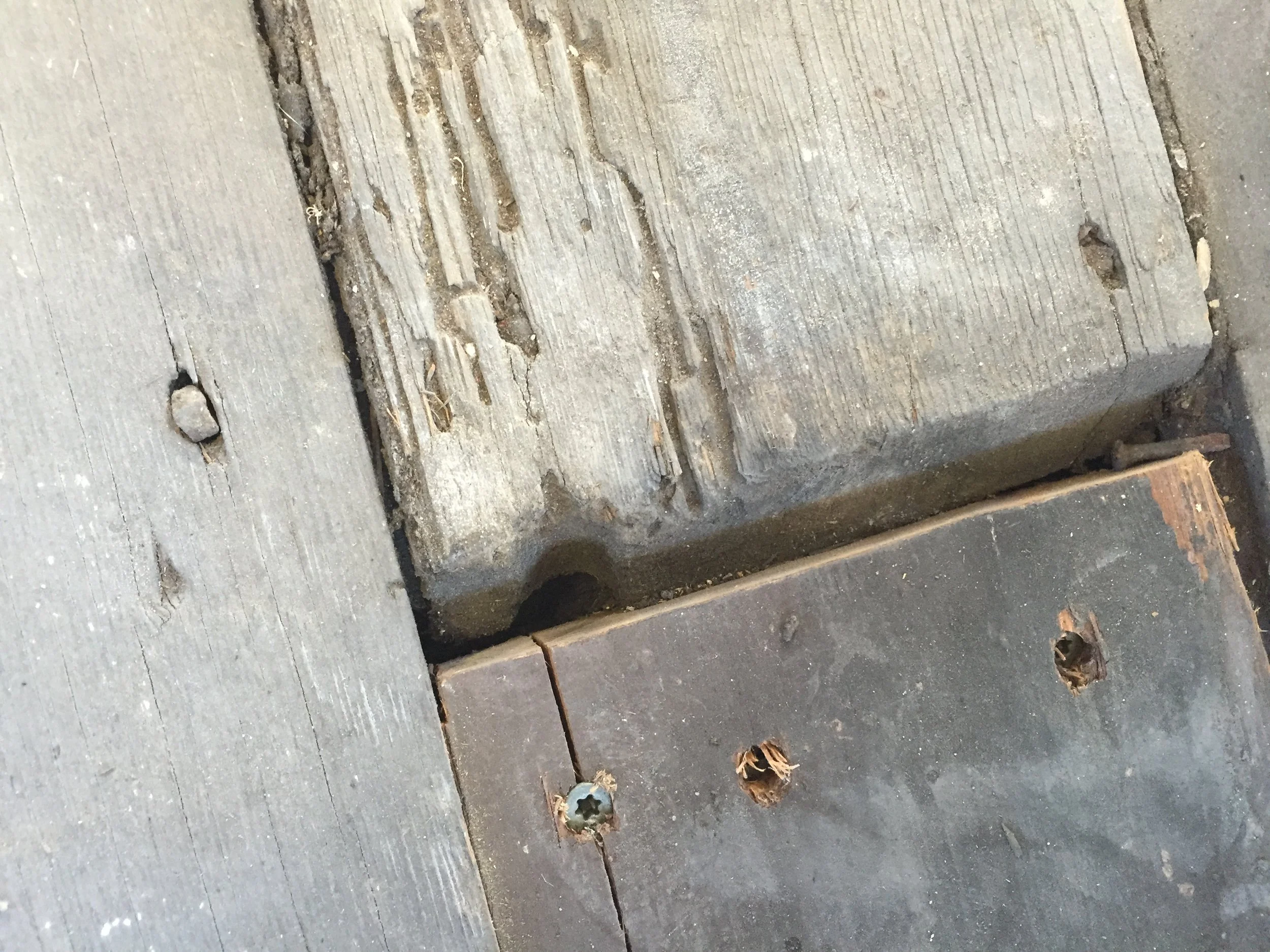 A floorboard in the attic with a suspicious notch....