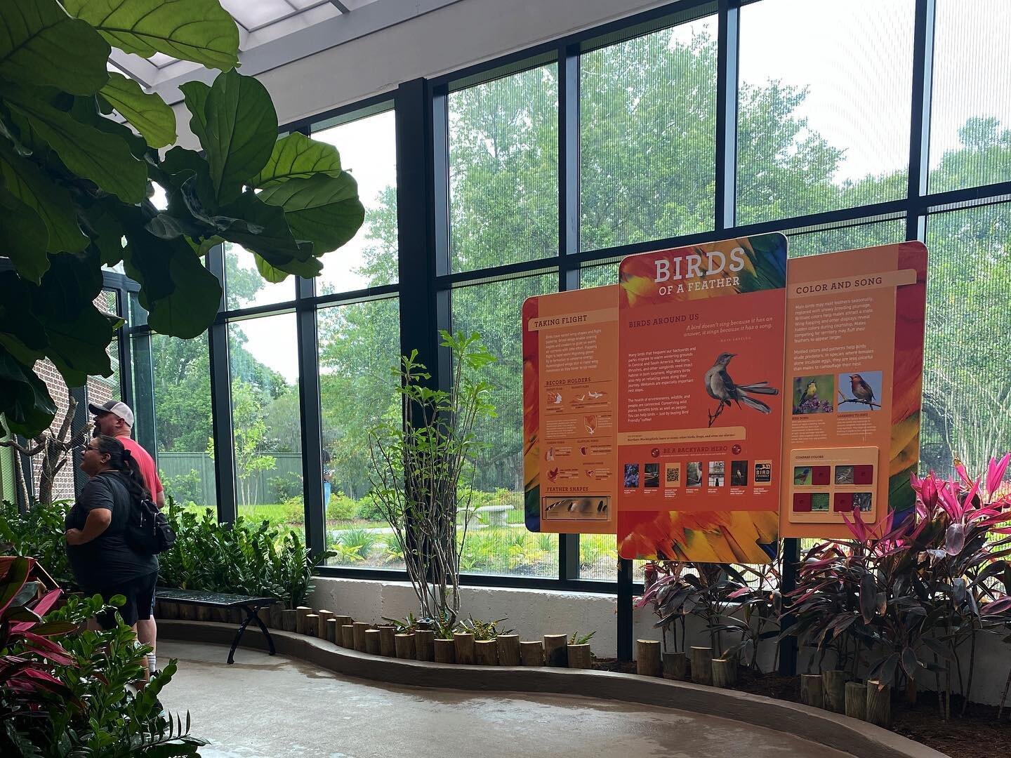 Ready to fly into the weekend like the Toco Toucan at the new Wings of the World exhibit at Audubon Zoo in New Orleans, Louisiana! What are your weekend plans?
&mdash;
Content: Terry O&rsquo;Connor &amp; Jamie Creola
Fabrication: @opasigns