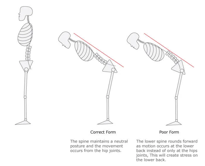 Exercise Spotlight Hip Hinge — Endurance Physio Missoula Physical Therapy