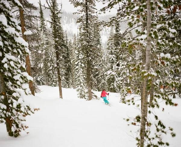 Kristine Ski.jpg