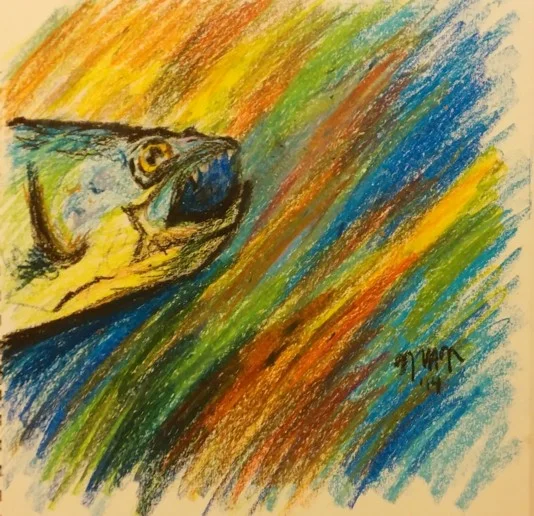 Fish.jpg