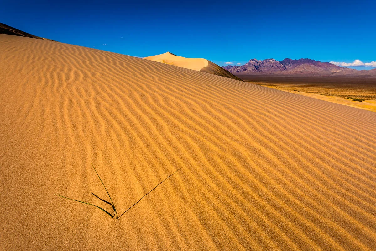 Grass, Sand, and Mountains