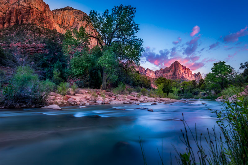 Virgin River and Watchman, Zion National Park