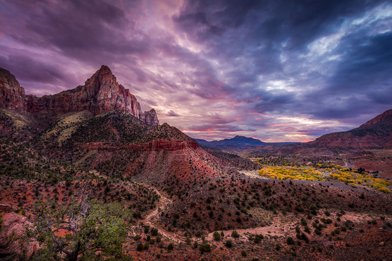 The Watchman, Zion National Park