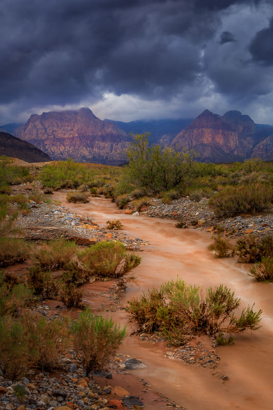 Red Rock Runoff, Red Rock Canyon National Conservation Area