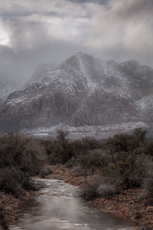 Gray Winter on Pine Creek, Red Rock Canyon National Conservation Area