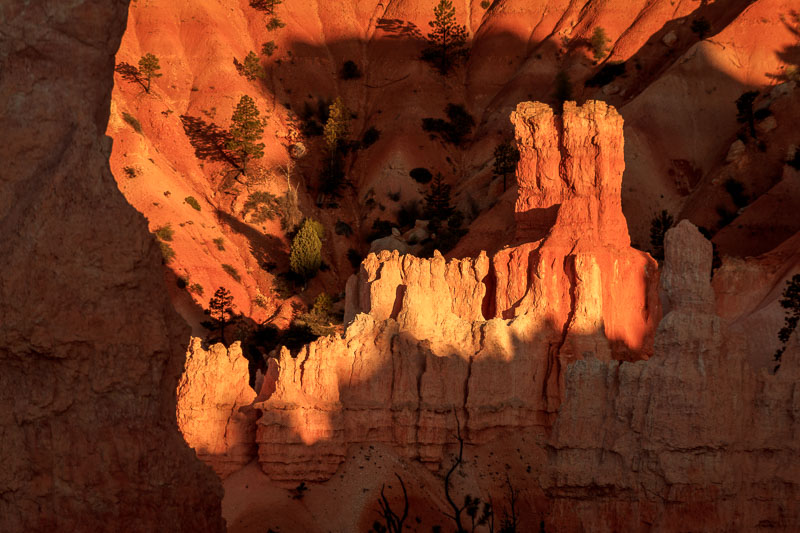 Shadows and Light at Sunrise, Bryce Canyon National Park