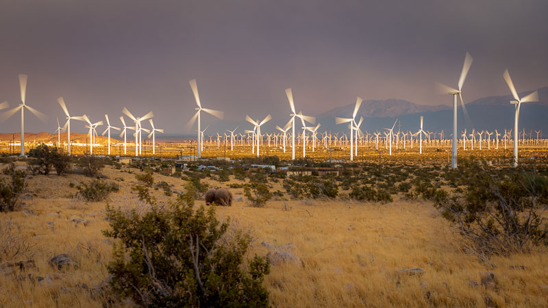 Wind turbines in Palm Springs, CA
