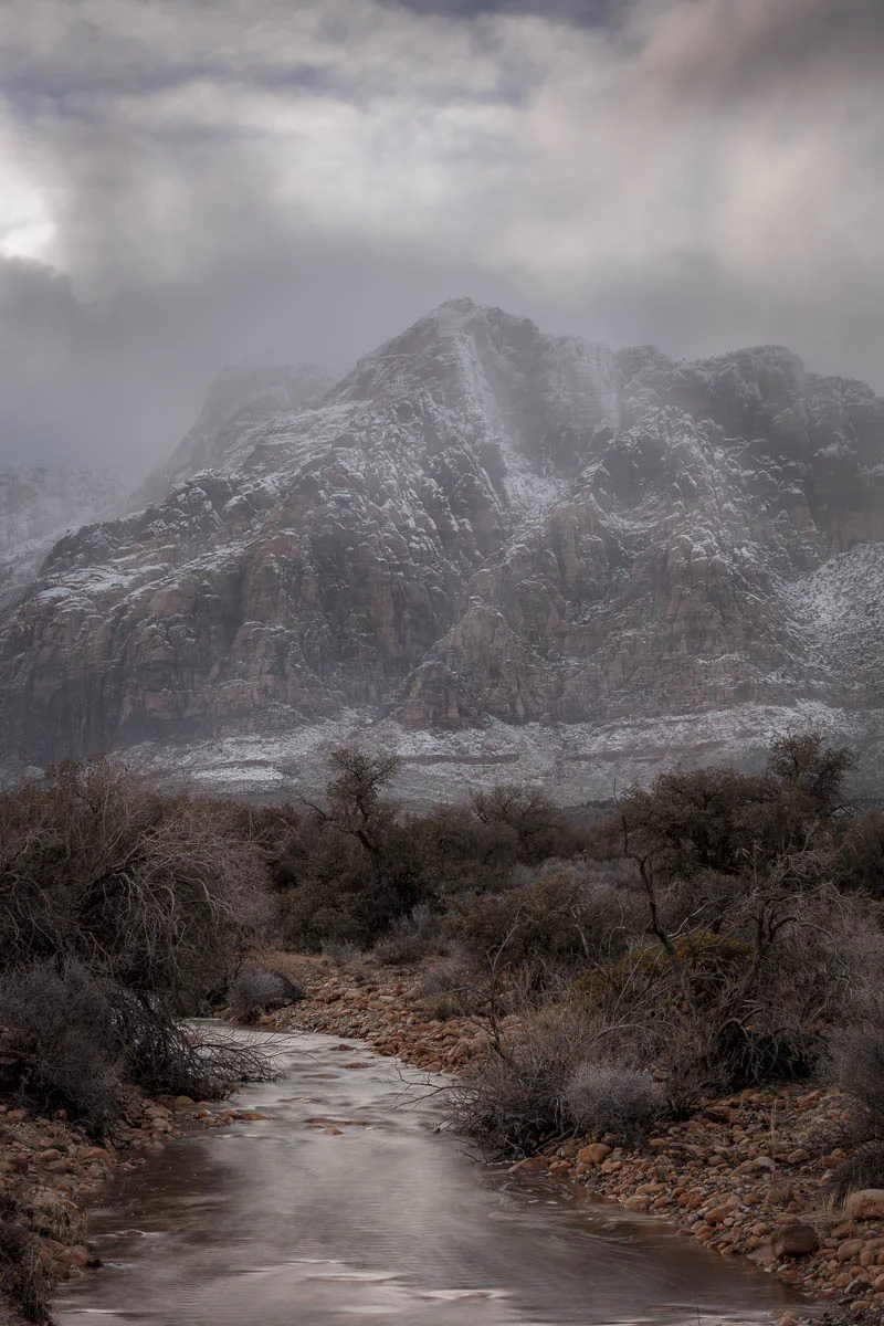 Gray Winter on Pine Creek