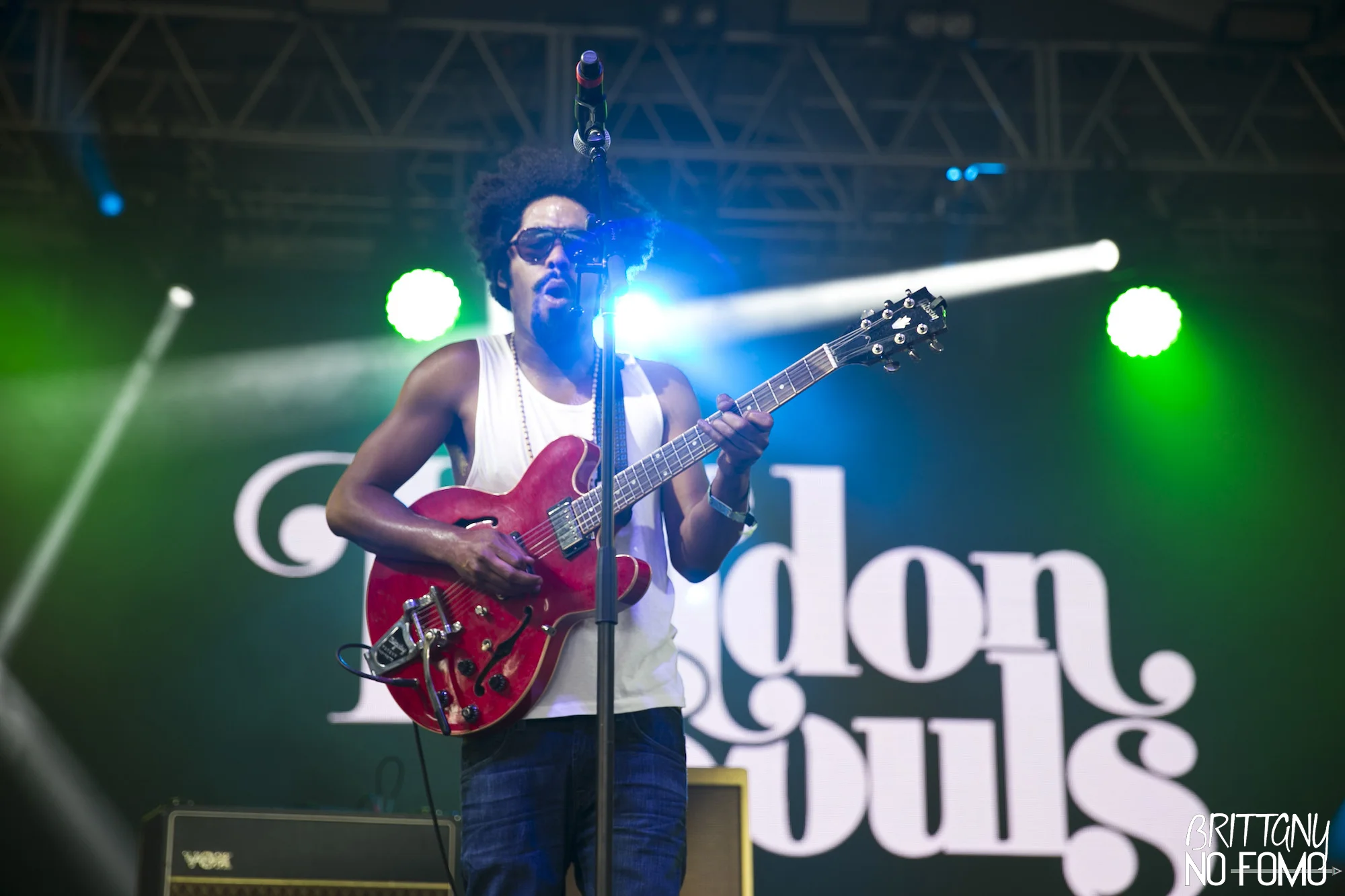 IMG_5920BONNAROO16.jpg