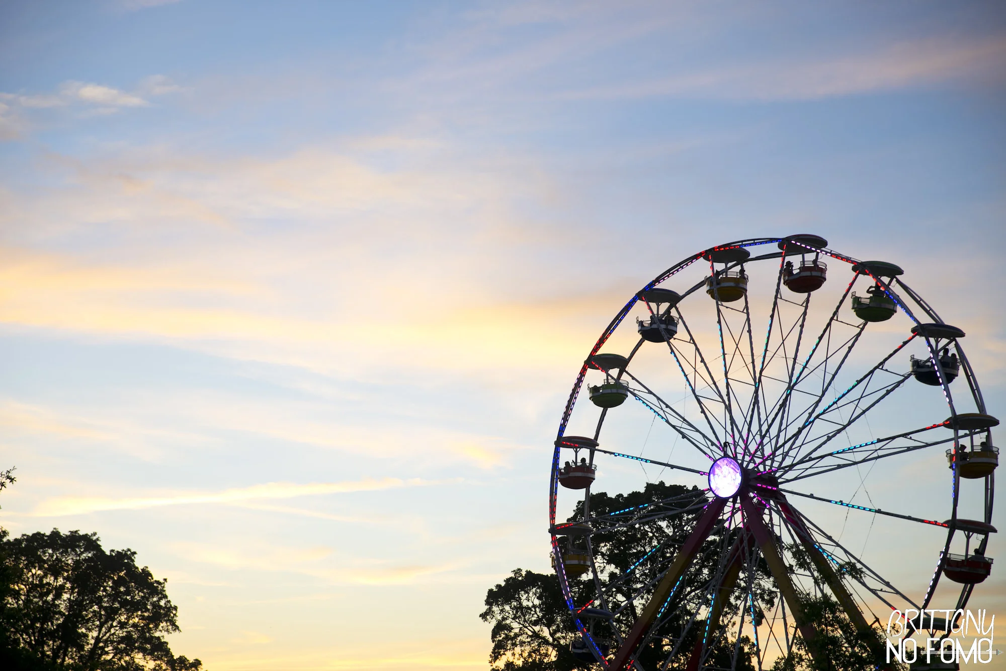 IMG_6023BONNAROO16.jpg