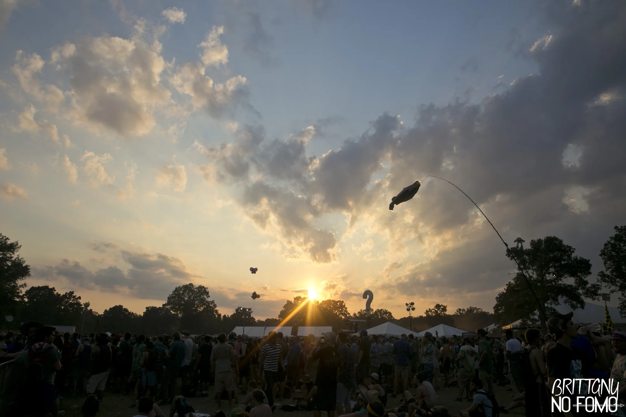 IMG_8642BONNAROO16.jpg