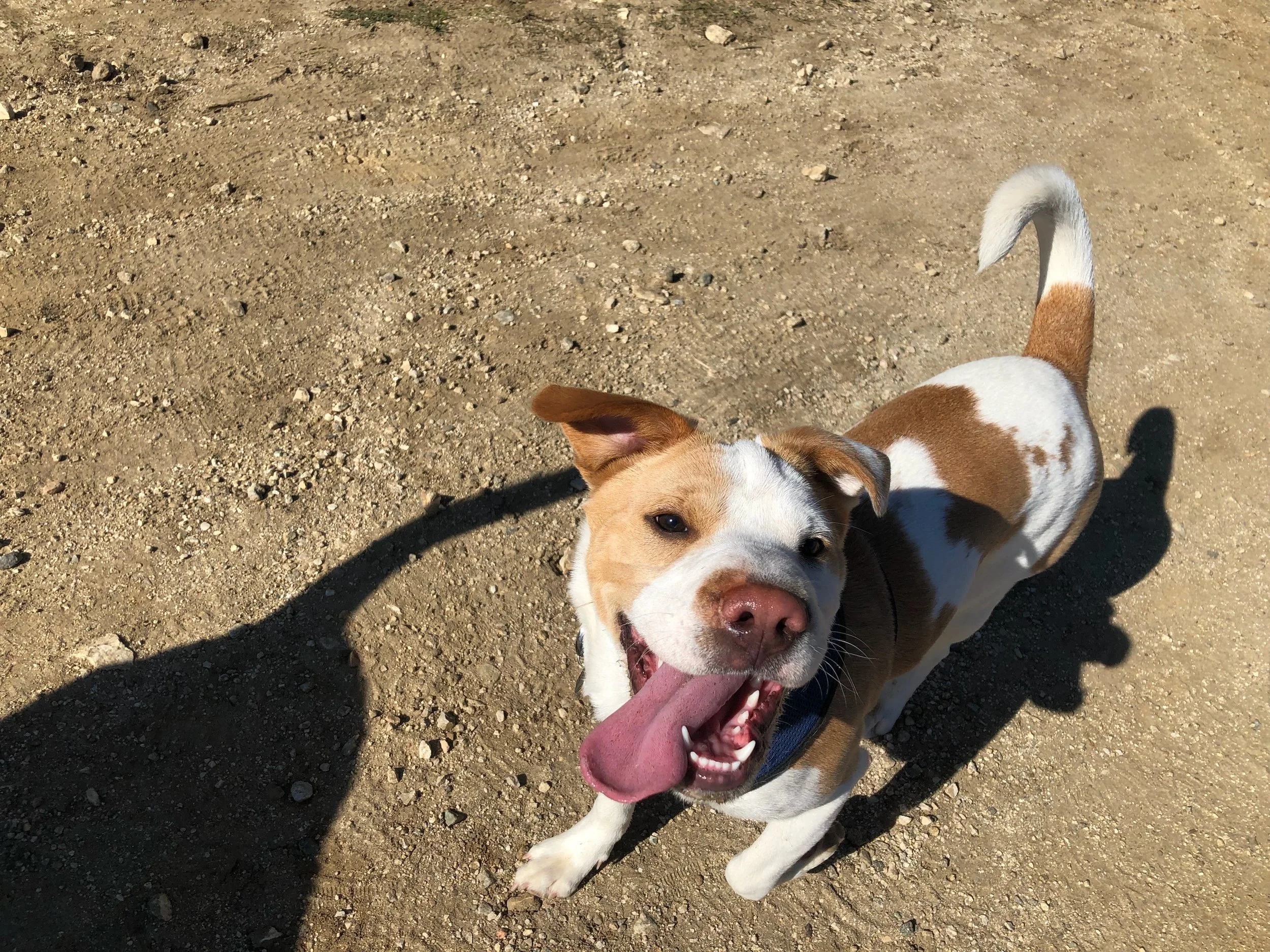 website photo 14.jpeg