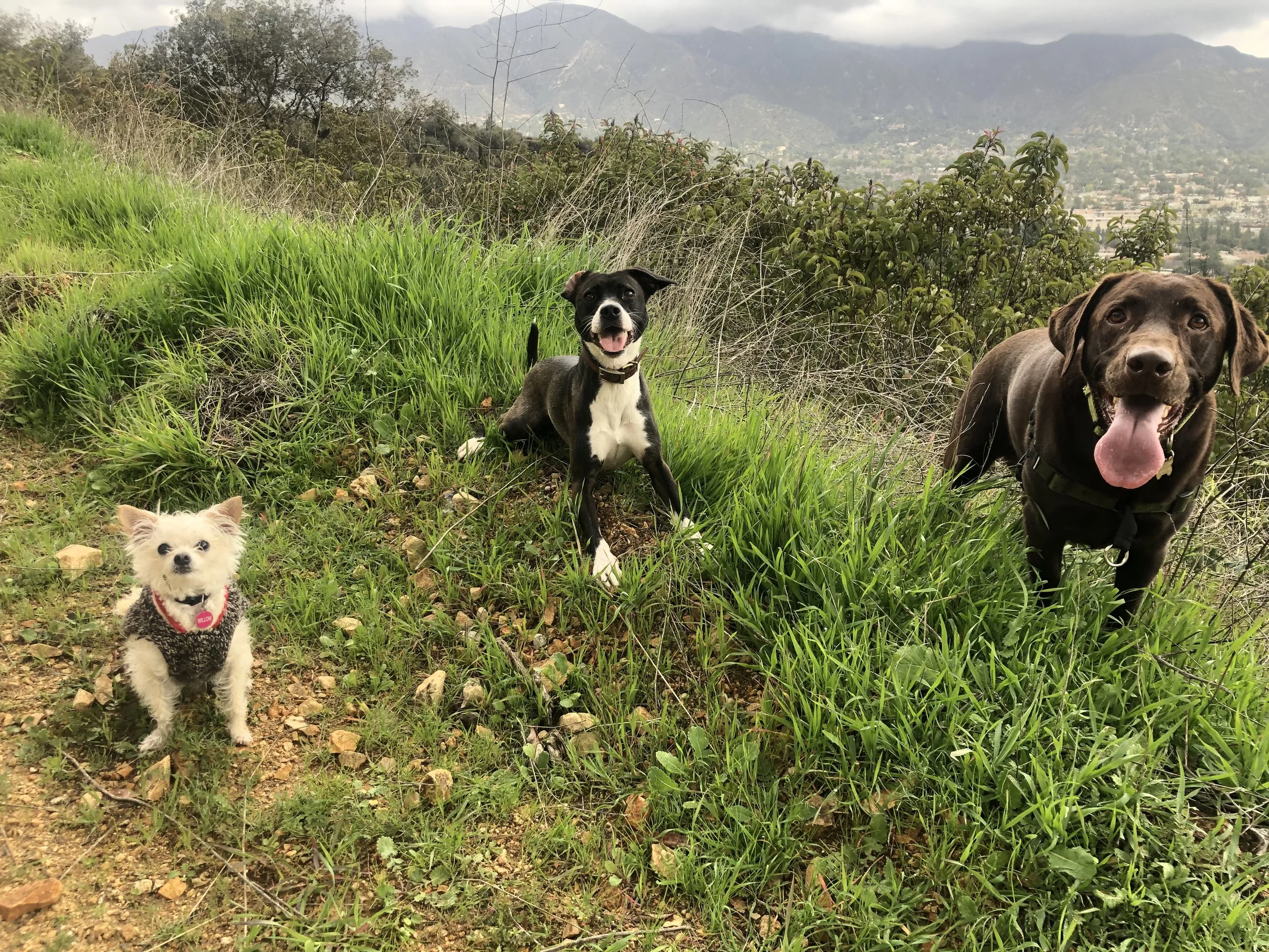 website photo 15.jpeg