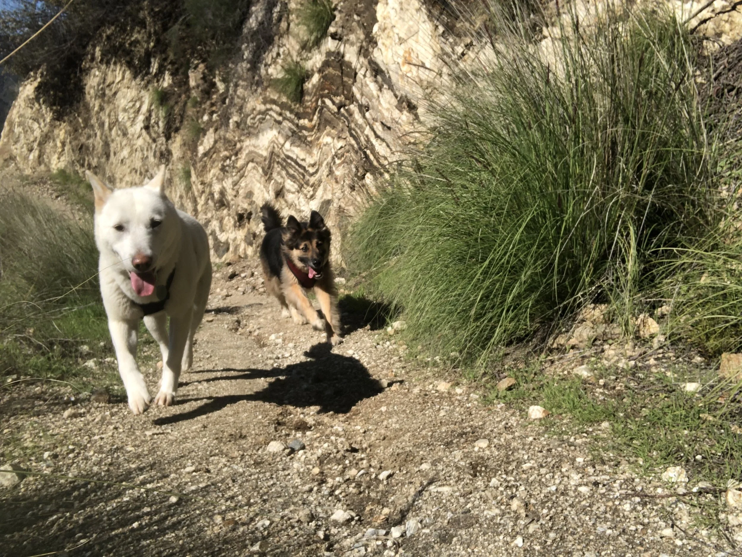 website photo 12.jpeg