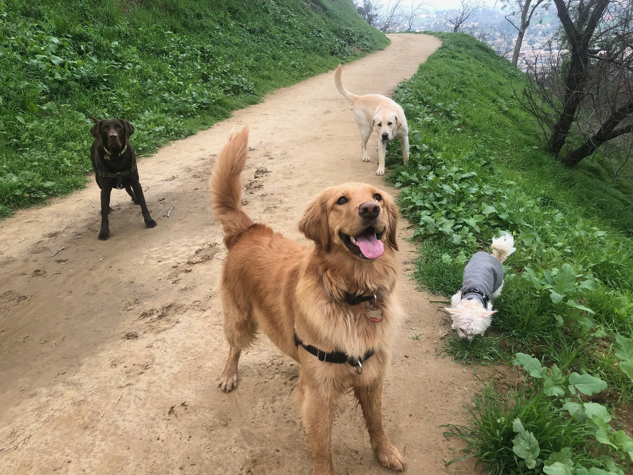 website photo 11.jpeg