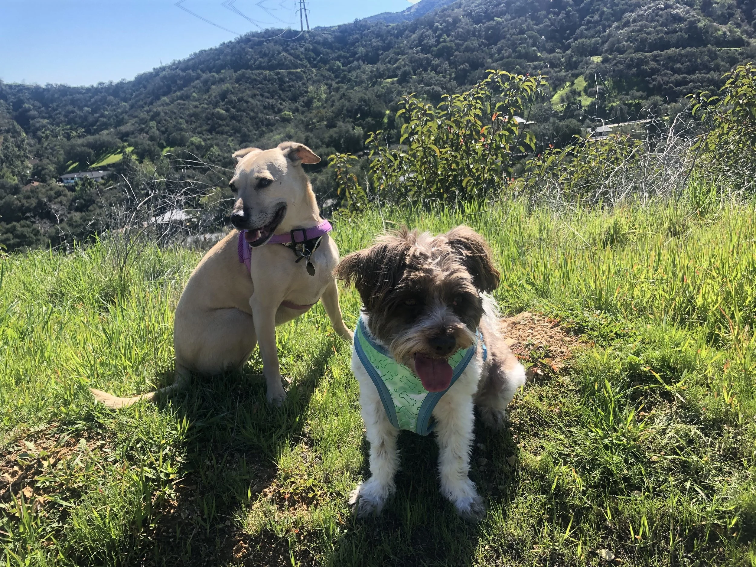 website photo 16.jpeg