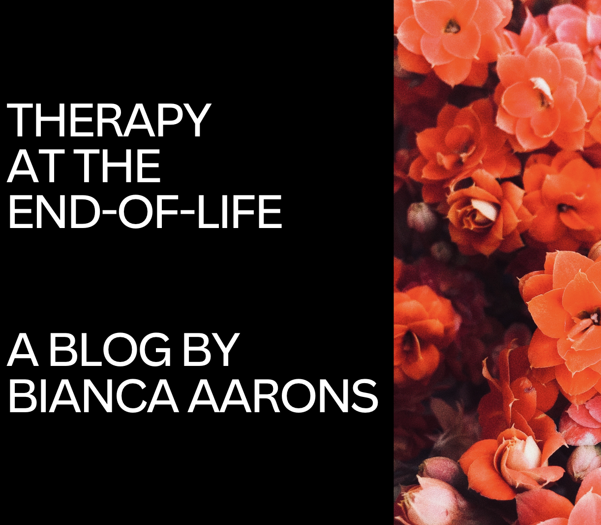 Therapy at the End of Life