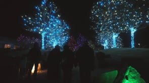 Hudson Gardens: A Hudson Christmas - Extravaganza of Lights