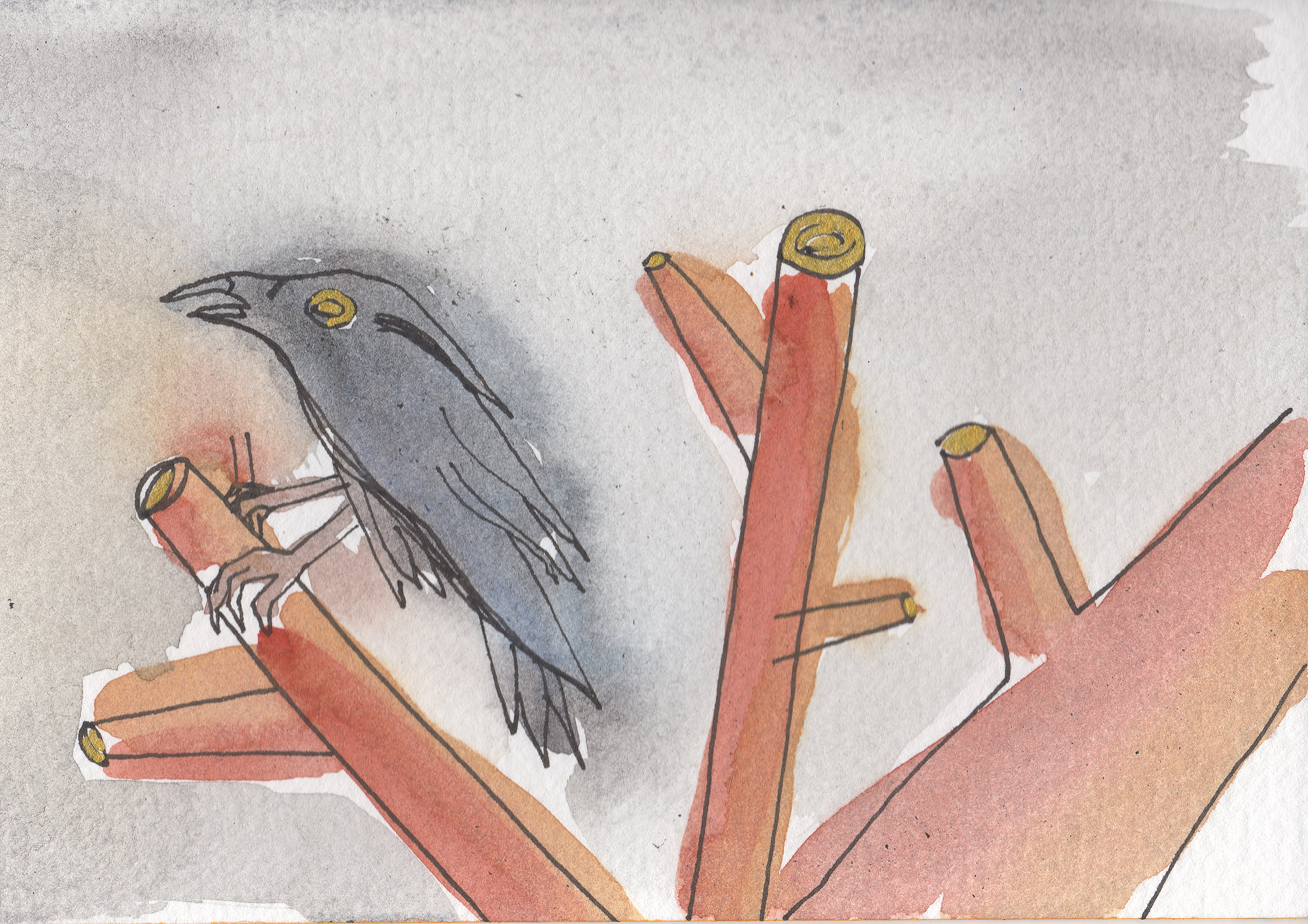 Crow, 2015.