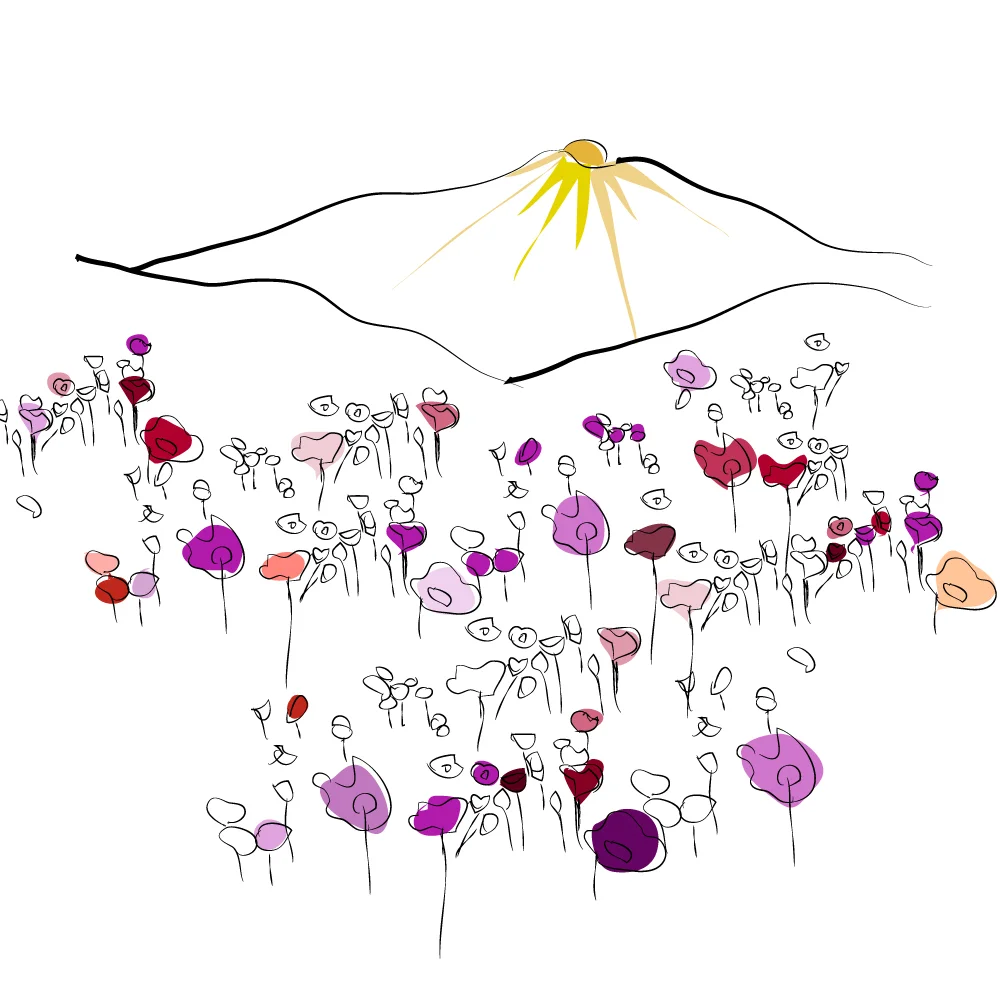 sunrise-over-meadow.jpg