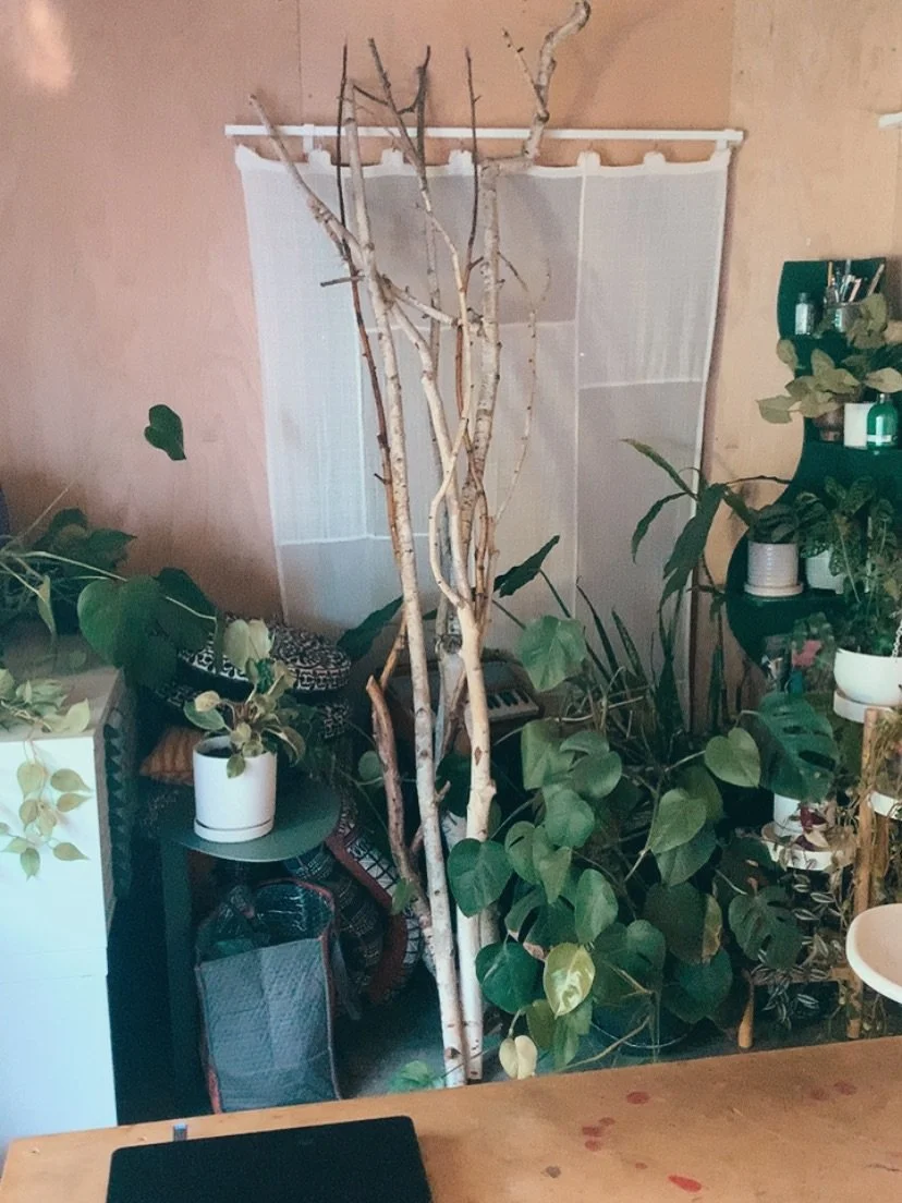 FOREST
SEEING
CONNECTING
ACCRETION